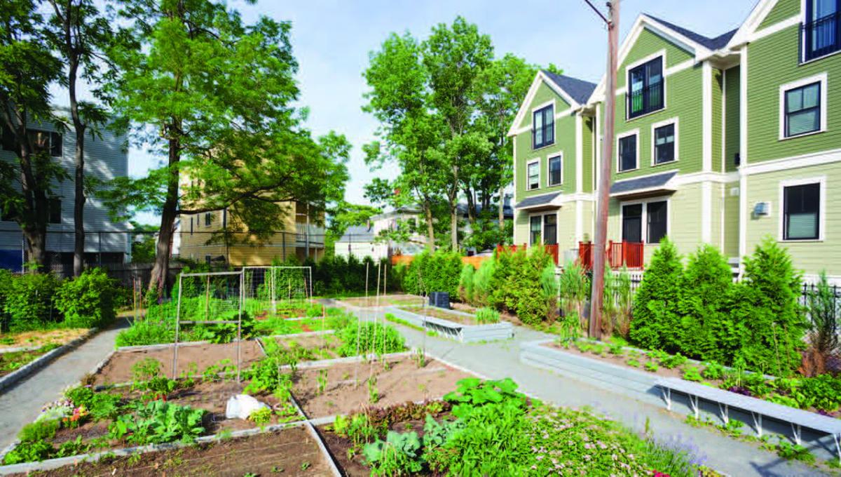 A community garden surrounded by homes.